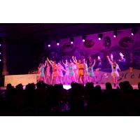 Prunksitzung_2023_851 - Kopie - Kopie - Kopie.jpg